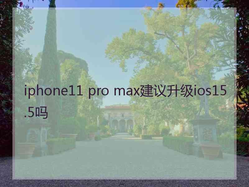 iphone11 pro max建议升级ios15.5吗