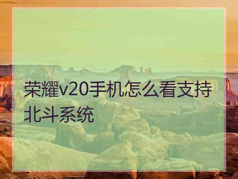 荣耀v20手机怎么看支持北斗系统