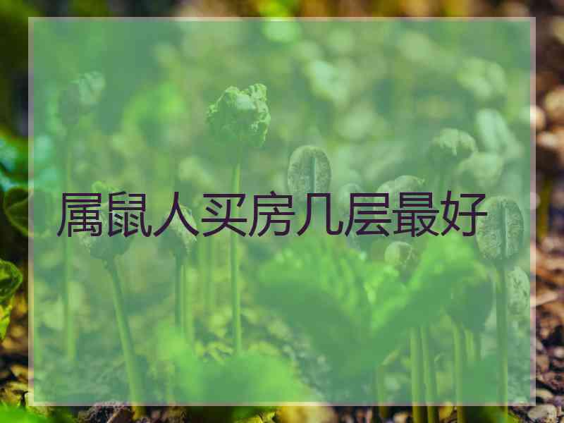 属鼠人买房几层最好