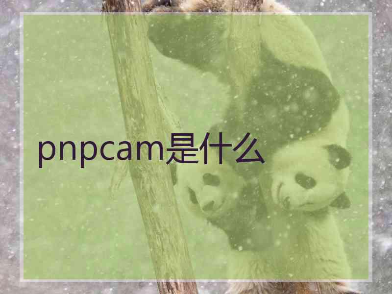 pnpcam是什么