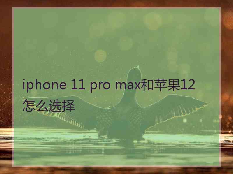 iphone 11 pro max和苹果12怎么选择