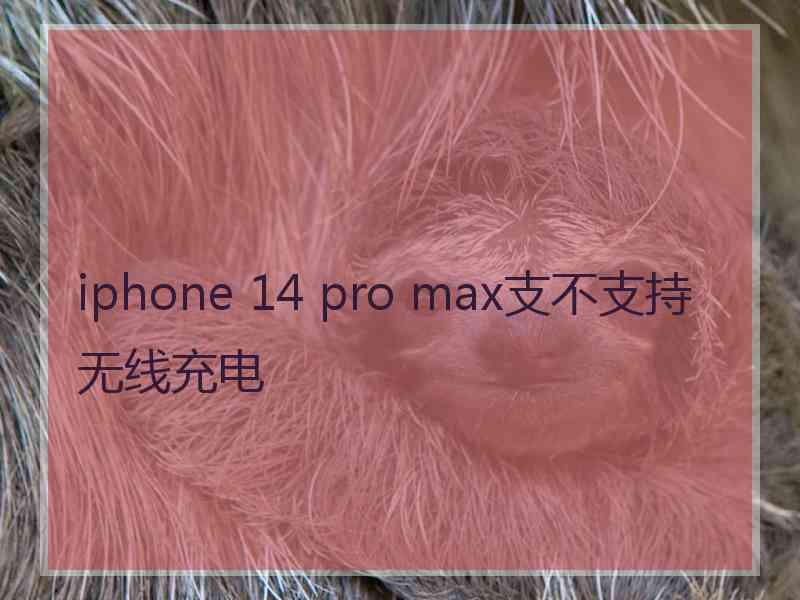 iphone 14 pro max支不支持无线充电