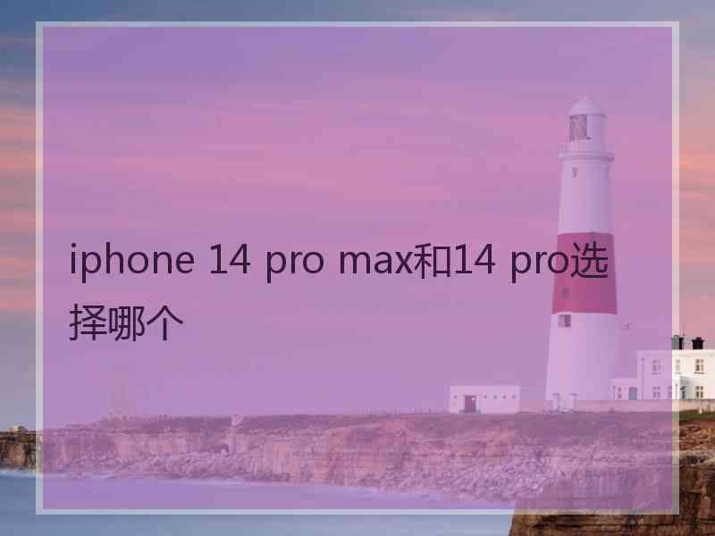 iphone 14 pro max和14 pro选择哪个