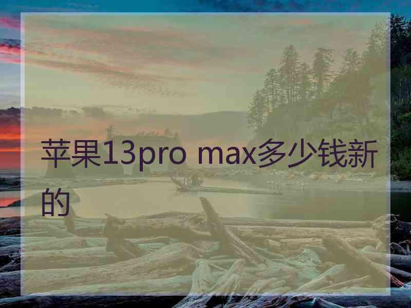 苹果13pro max多少钱新的