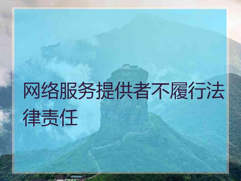 网络服务提供者不履行法律责任