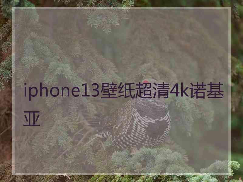 iphone13壁纸超清4k诺基亚