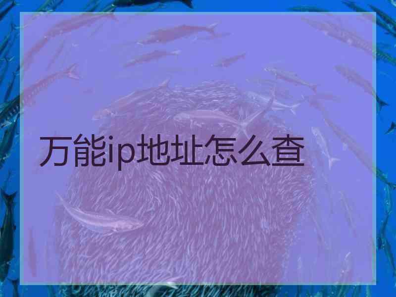 万能ip地址怎么查