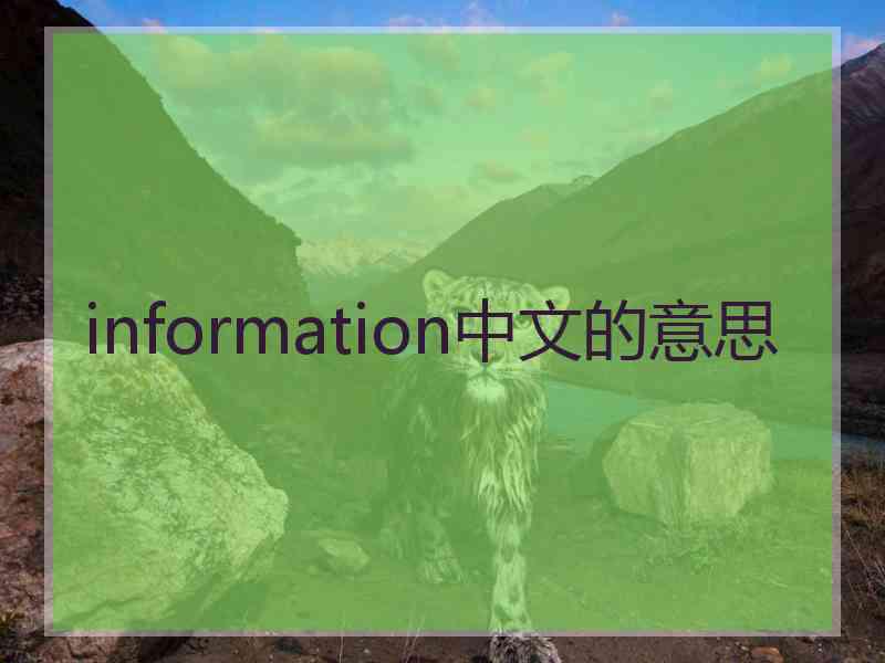 information中文的意思