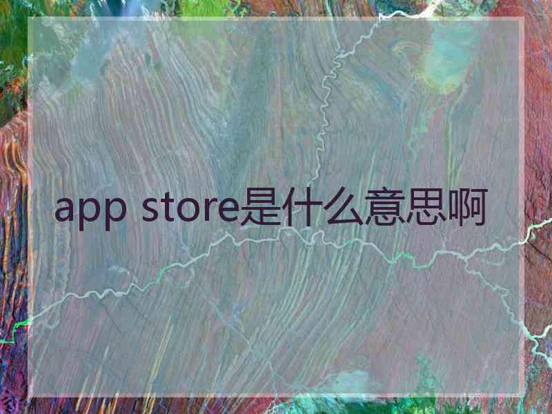 app store是什么意思啊