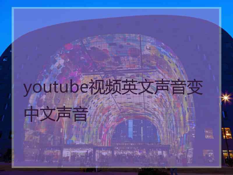 youtube视频英文声音变中文声音