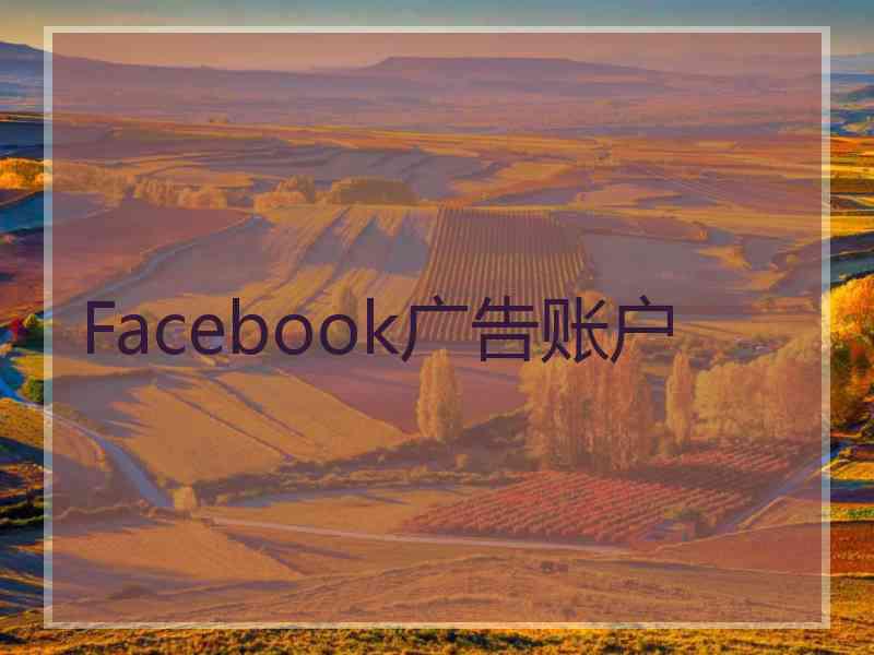 Facebook广告账户