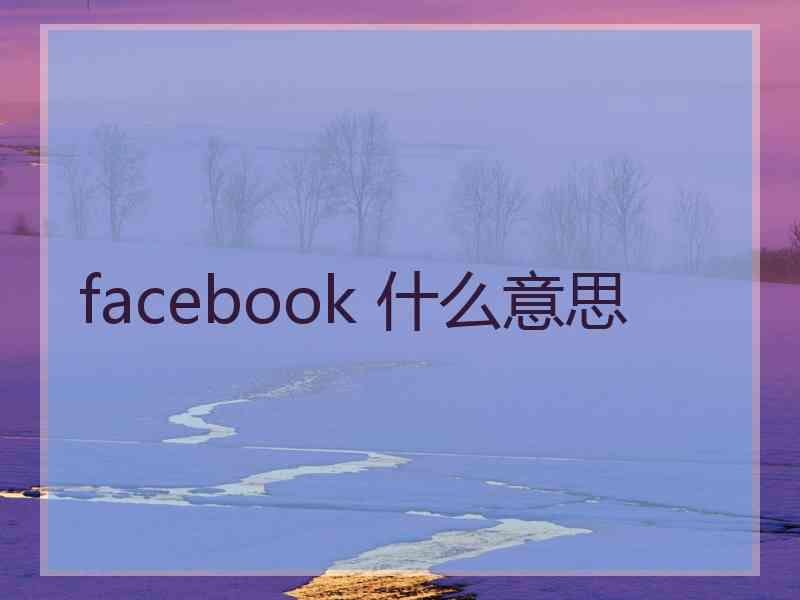 facebook 什么意思