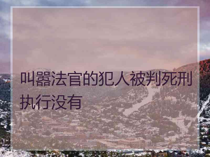 叫嚣法官的犯人被判死刑执行没有