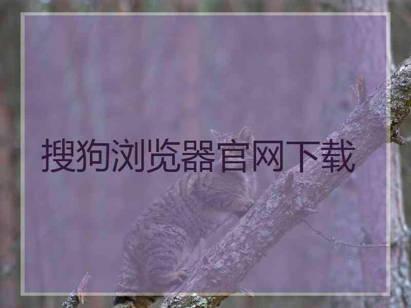 搜狗浏览器官网下载