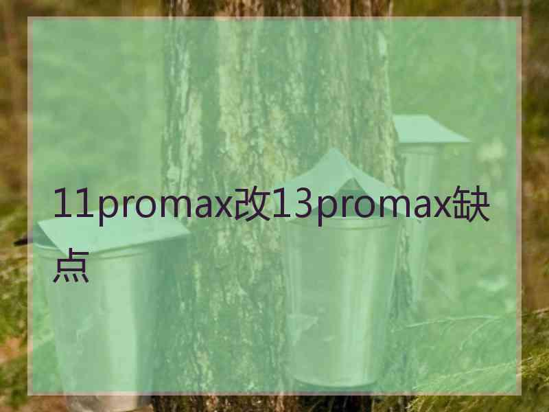 11promax改13promax缺点