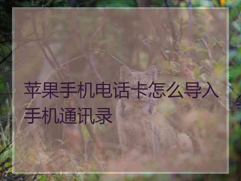 苹果手机电话卡怎么导入手机通讯录