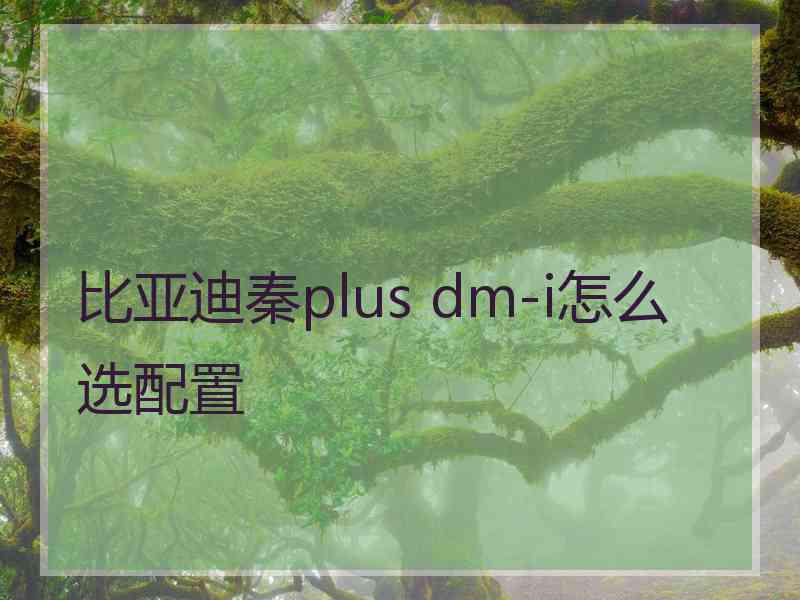 比亚迪秦plus dm-i怎么选配置