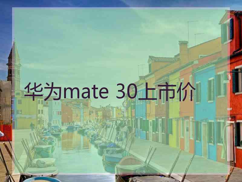 华为mate 30上市价