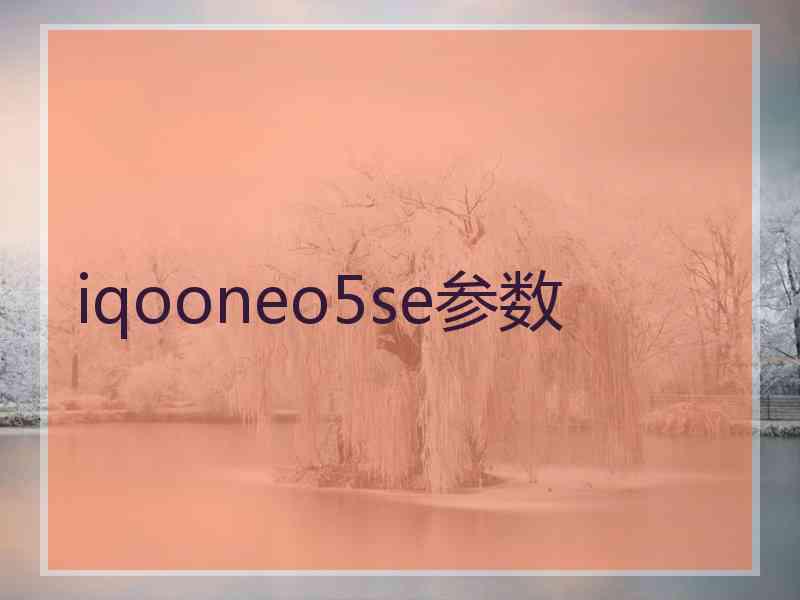 iqooneo5se参数