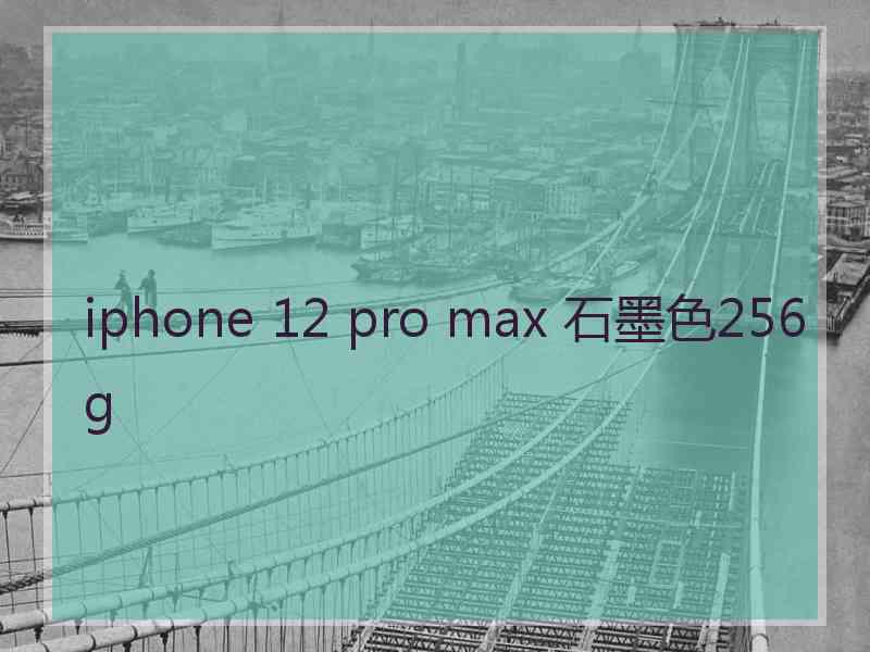 iphone 12 pro max 石墨色256g