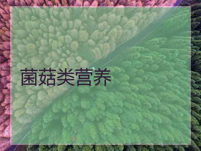 菌菇类营养