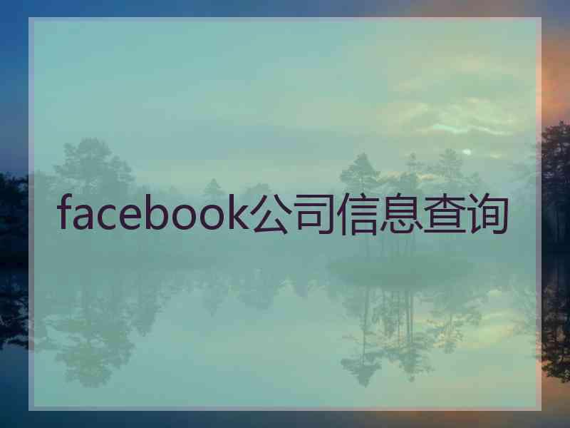 facebook公司信息查询