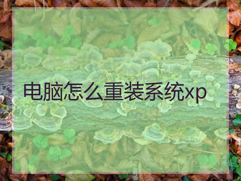 电脑怎么重装系统xp