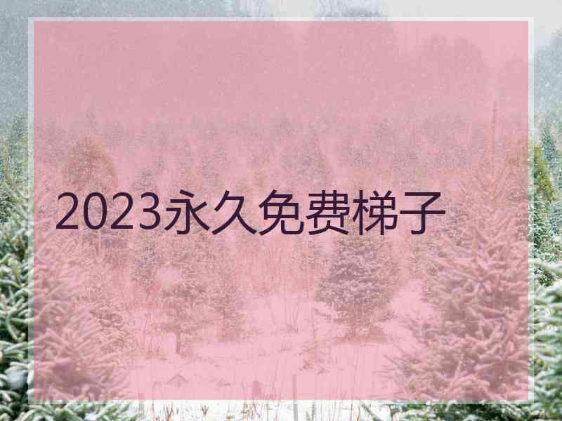 2023永久免费梯子