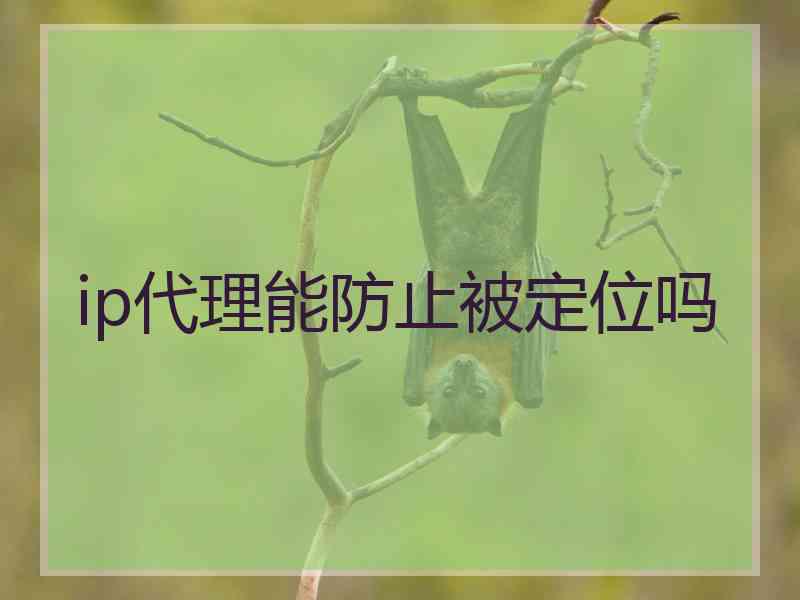 ip代理能防止被定位吗