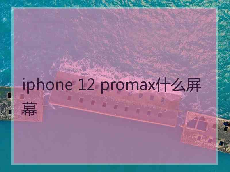 iphone 12 promax什么屏幕