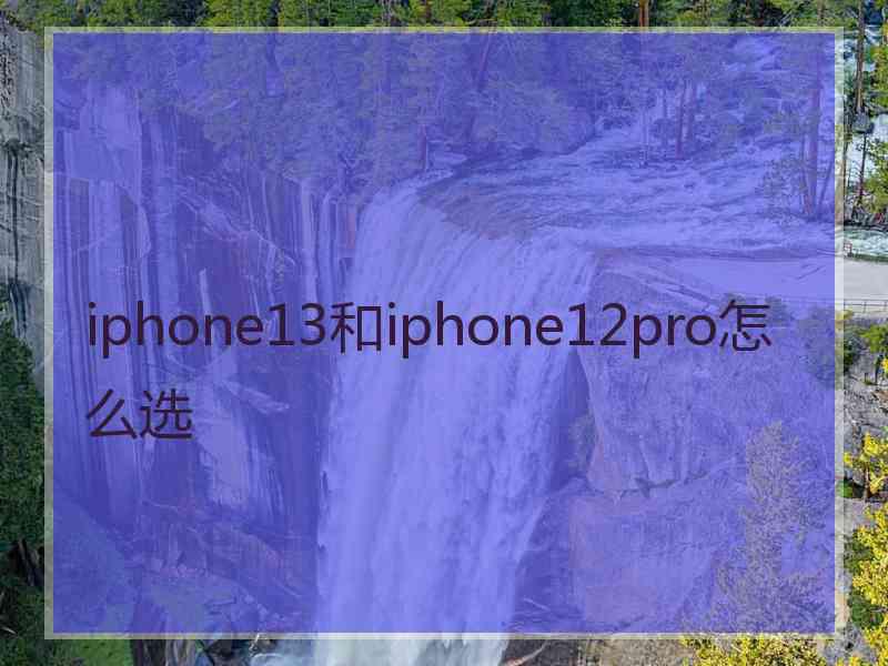 iphone13和iphone12pro怎么选