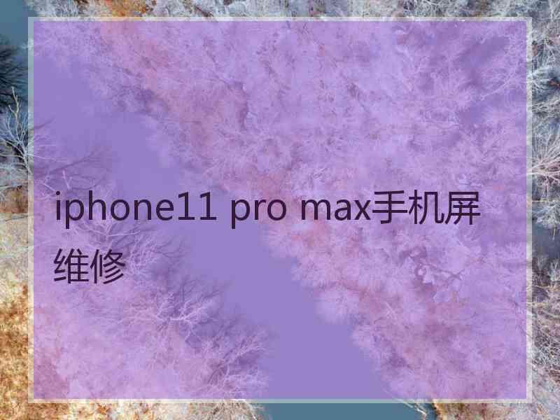 iphone11 pro max手机屏维修