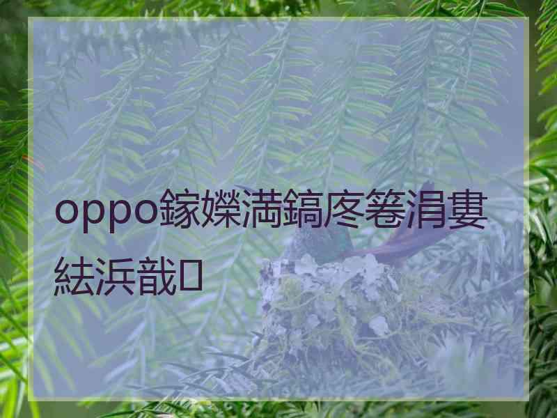 oppo鎵嬫満鎬庝箞涓婁紶浜戠