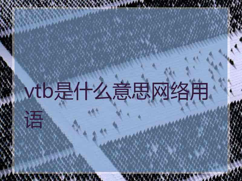 vtb是什么意思网络用语