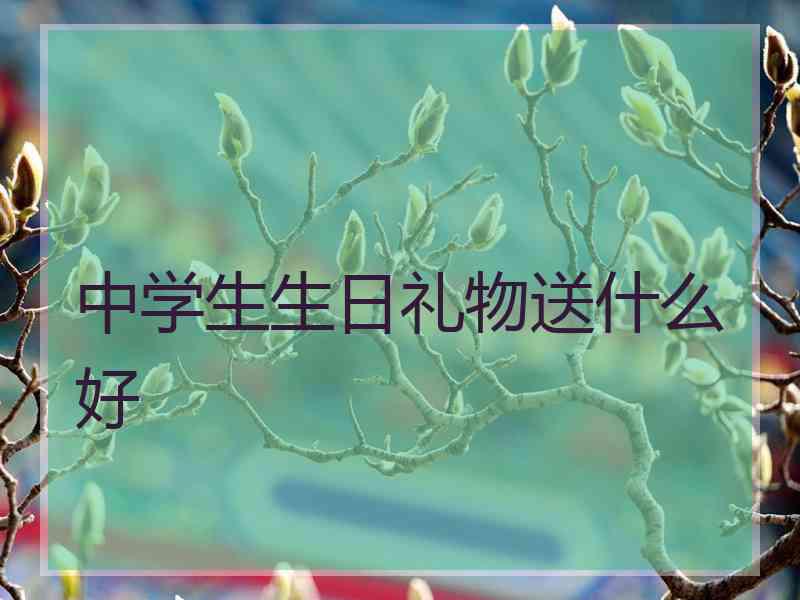 中学生生日礼物送什么好