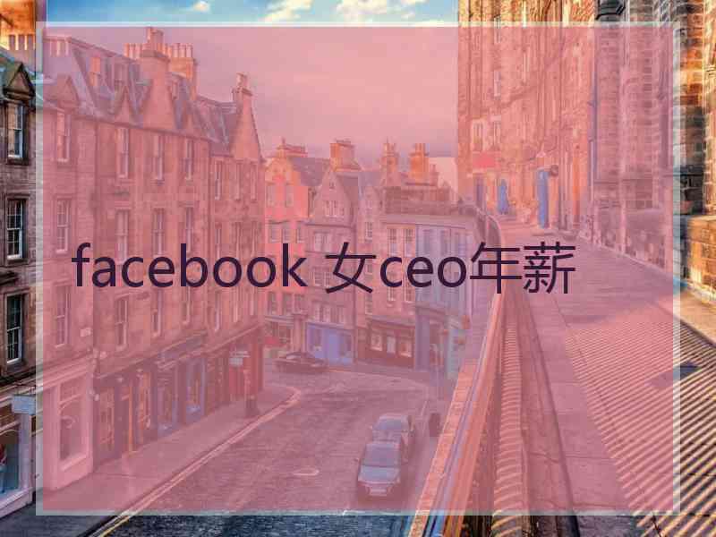 facebook 女ceo年薪