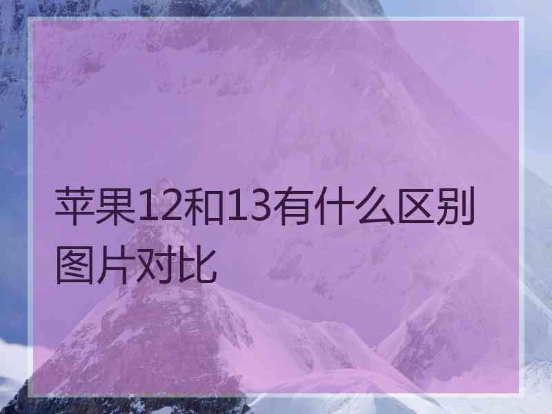 苹果12和13有什么区别图片对比