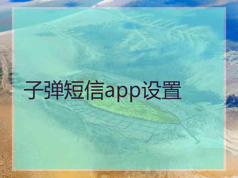 子弹短信app设置