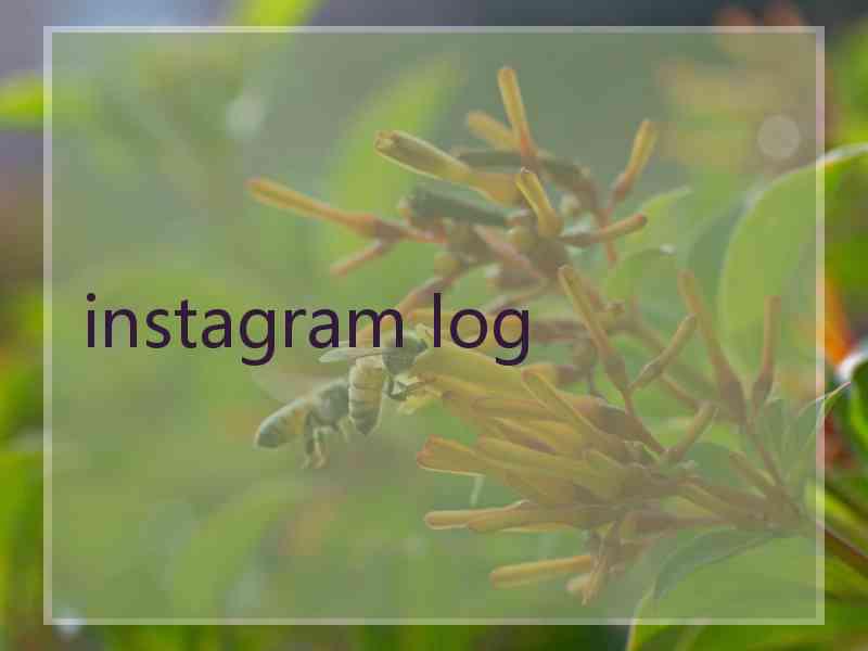 instagram log