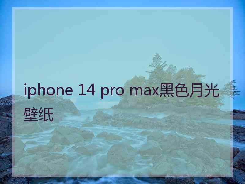 iphone 14 pro max黑色月光壁纸