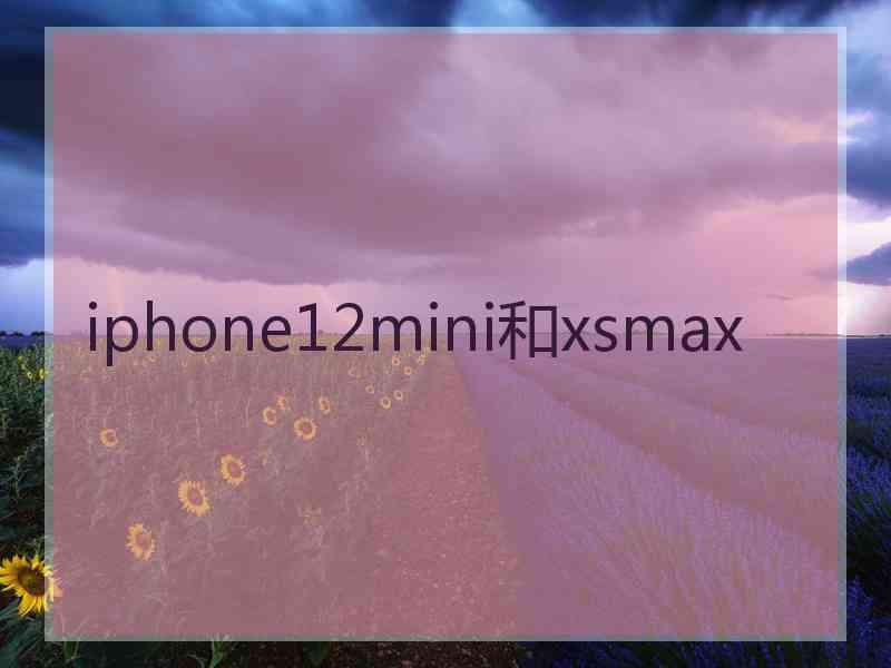 iphone12mini和xsmax