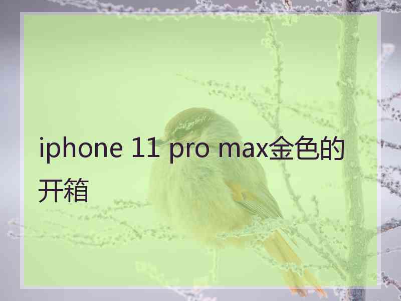 iphone 11 pro max金色的开箱