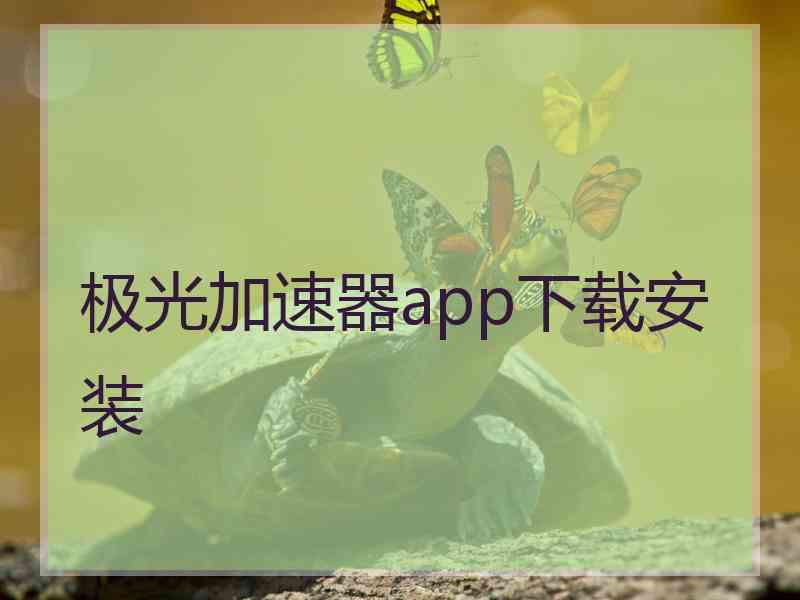 极光加速器app下载安装