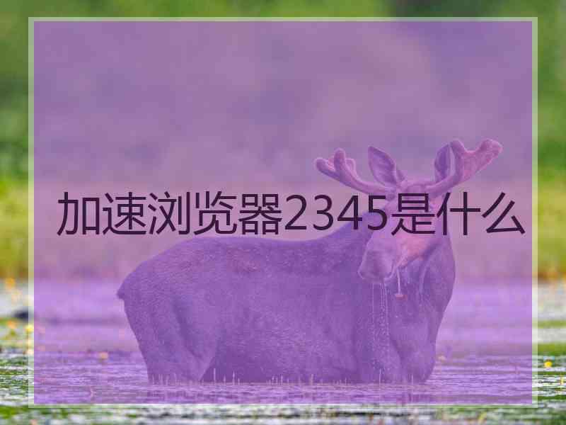 加速浏览器2345是什么