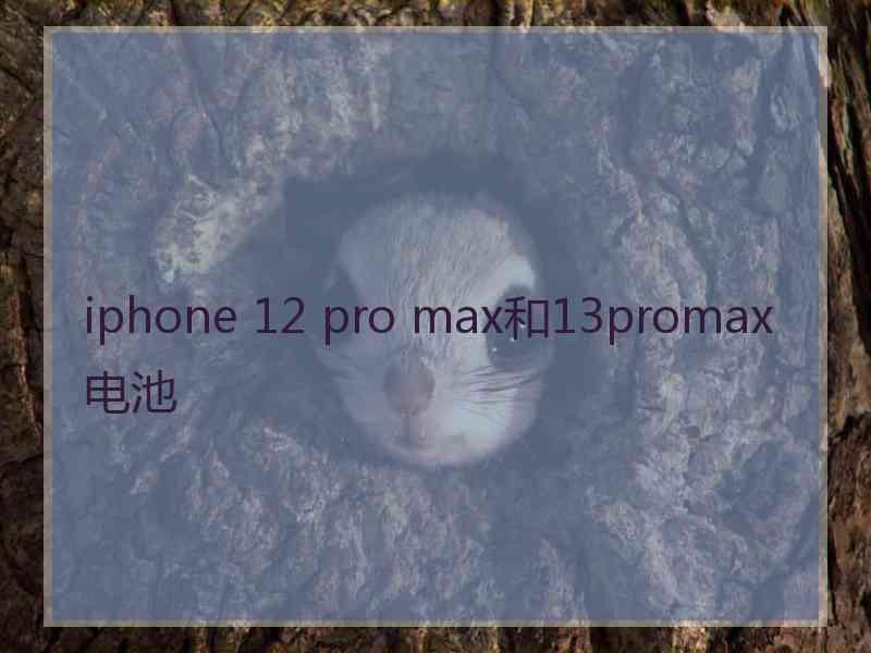 iphone 12 pro max和13promax电池