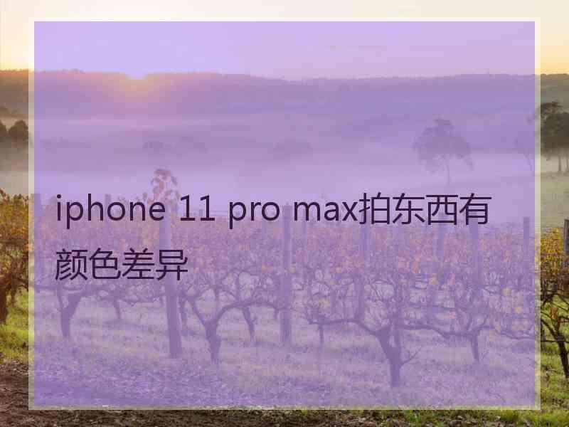 iphone 11 pro max拍东西有颜色差异