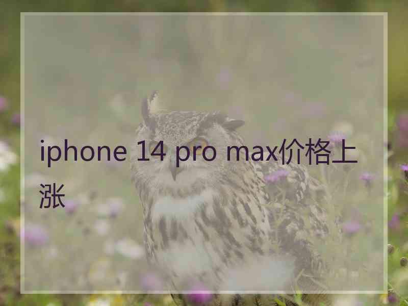 iphone 14 pro max价格上涨