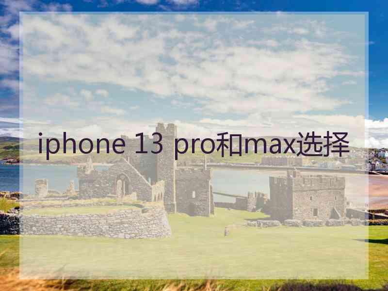 iphone 13 pro和max选择