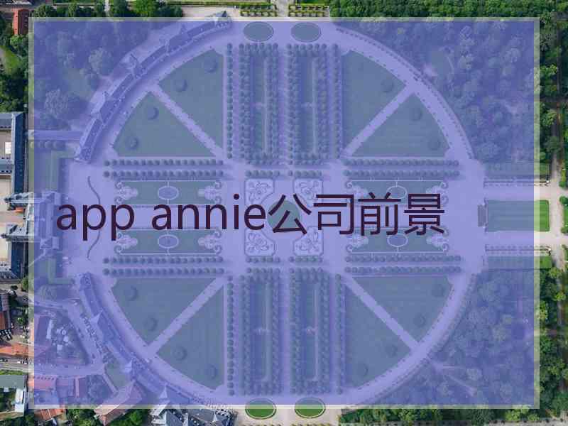 app annie公司前景