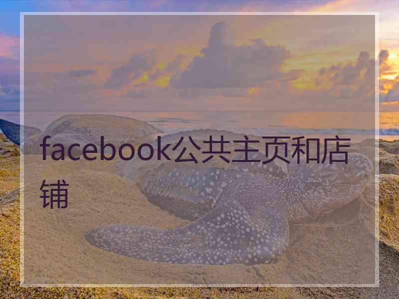 facebook公共主页和店铺